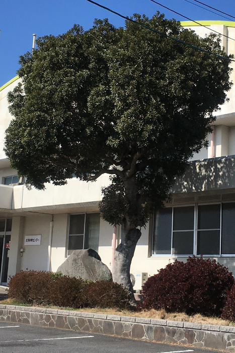 体育センター画像